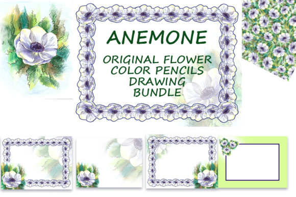 Anemone. Flower Color Pencils Set
