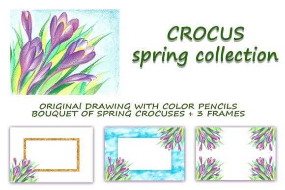 Crocus. Spring Collection