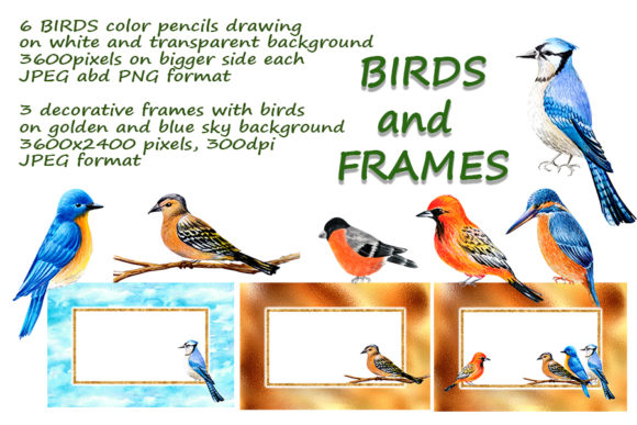 Decorative Birds, Color Pencils Drawing: A Versatile Art Collection for Creative Projects