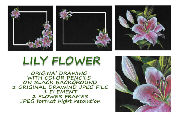 Lily at Night: A Unique Hand-Drawn Floral Collection for Creative Projects