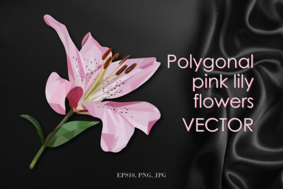 Pink Lily Flower: Elegant Design for Every Need